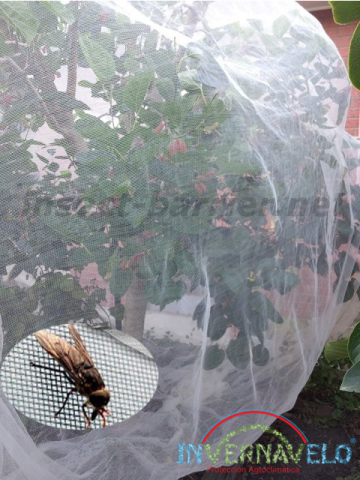 plant protected with the attack of the insects with the insects barrier.