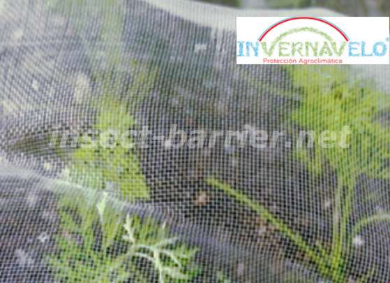 insect barrier protecting the crops against the insects.